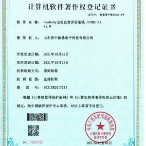 Peabody運(yùn)動(dòng)發(fā)育評(píng)估系統(tǒng)(PDMS-2)軟件著作權(quán)